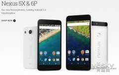 谷歌Nexus 5X和6P手机或将于10月25日发货